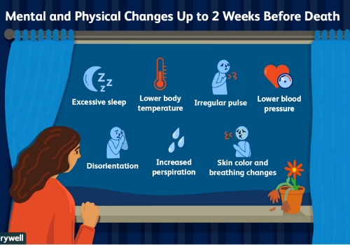 understanding-the-stages-of-death-oasis-hospice